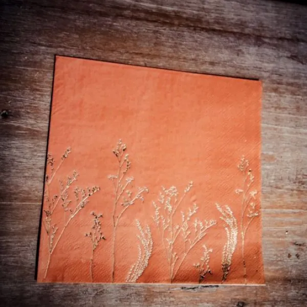 Serviette En Papier Brindilles X 16 Pi Ces Theme Cinema