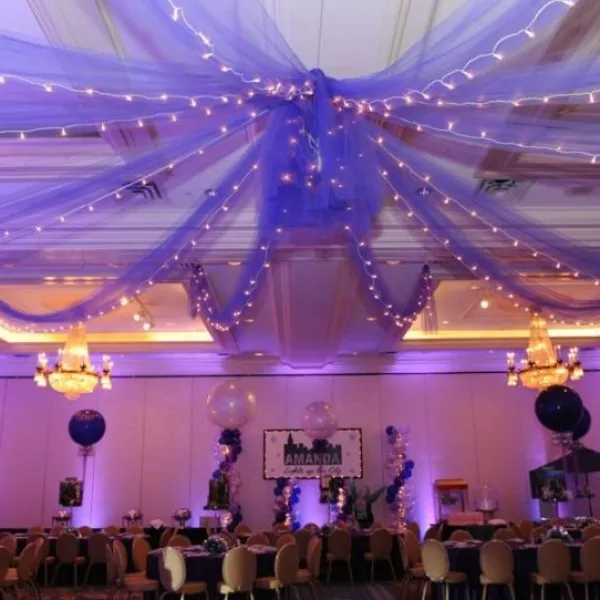 Badaboum Tenture De Salle Paillet Parme X 12 M Tres