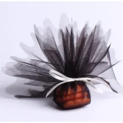 Badaboum Tulle Voile Festonn Nacr Noire X25