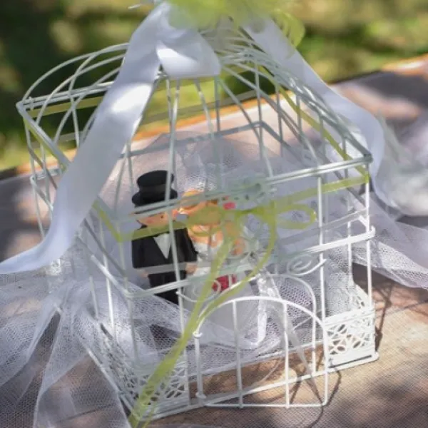 Online Urne Cage Oiseau Carr E Blanche Theme Cinema