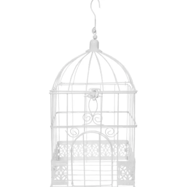 Online Urne Cage Oiseau Carr E Blanche Theme Cinema