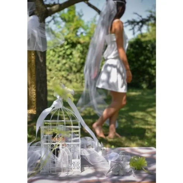 Online Urne Cage Oiseau Carr E Blanche Theme Cinema