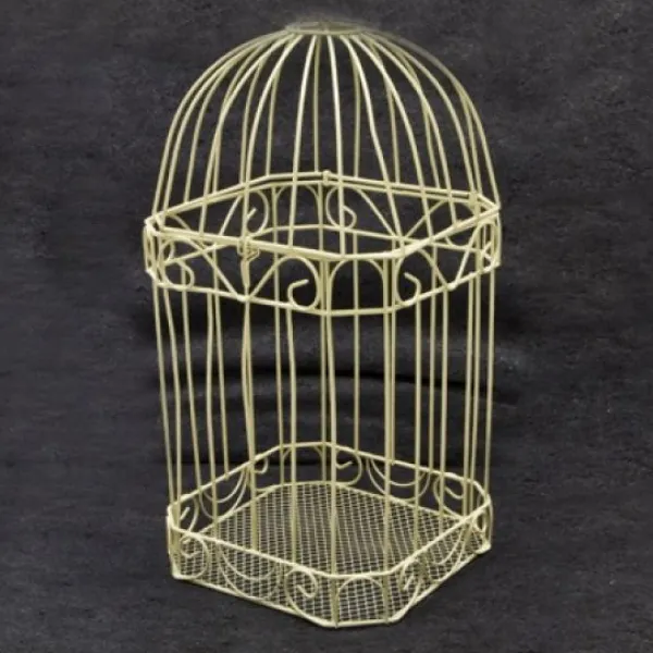 Badaboum Urne Cage Oiseau Des Mari S Ivoire