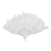 Badaboum Ventail Plumes Blanc 43 Cm